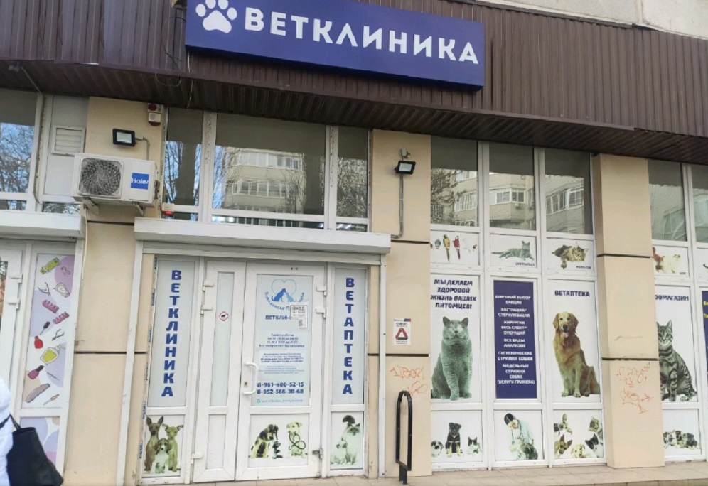 Наша ветеринарная клиника на улице Королева, 20 в Ростове