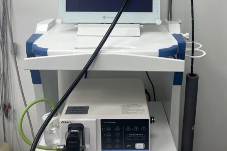 Использование эндоскопии в современной ветеринарии