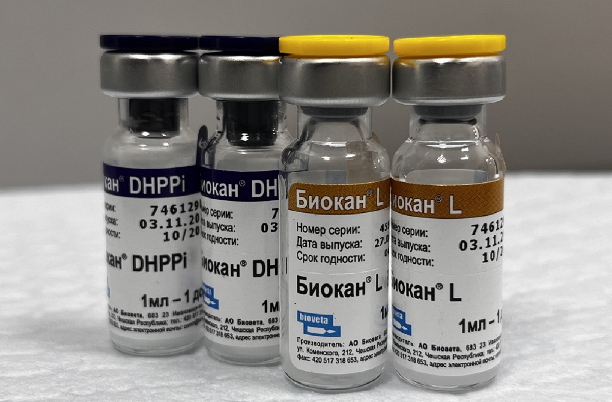 Вакцина Биокан DНPPi+L в Ростове