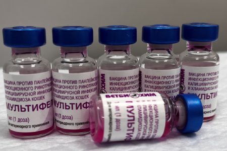 Прививки Мультифел для кошек в Ростове